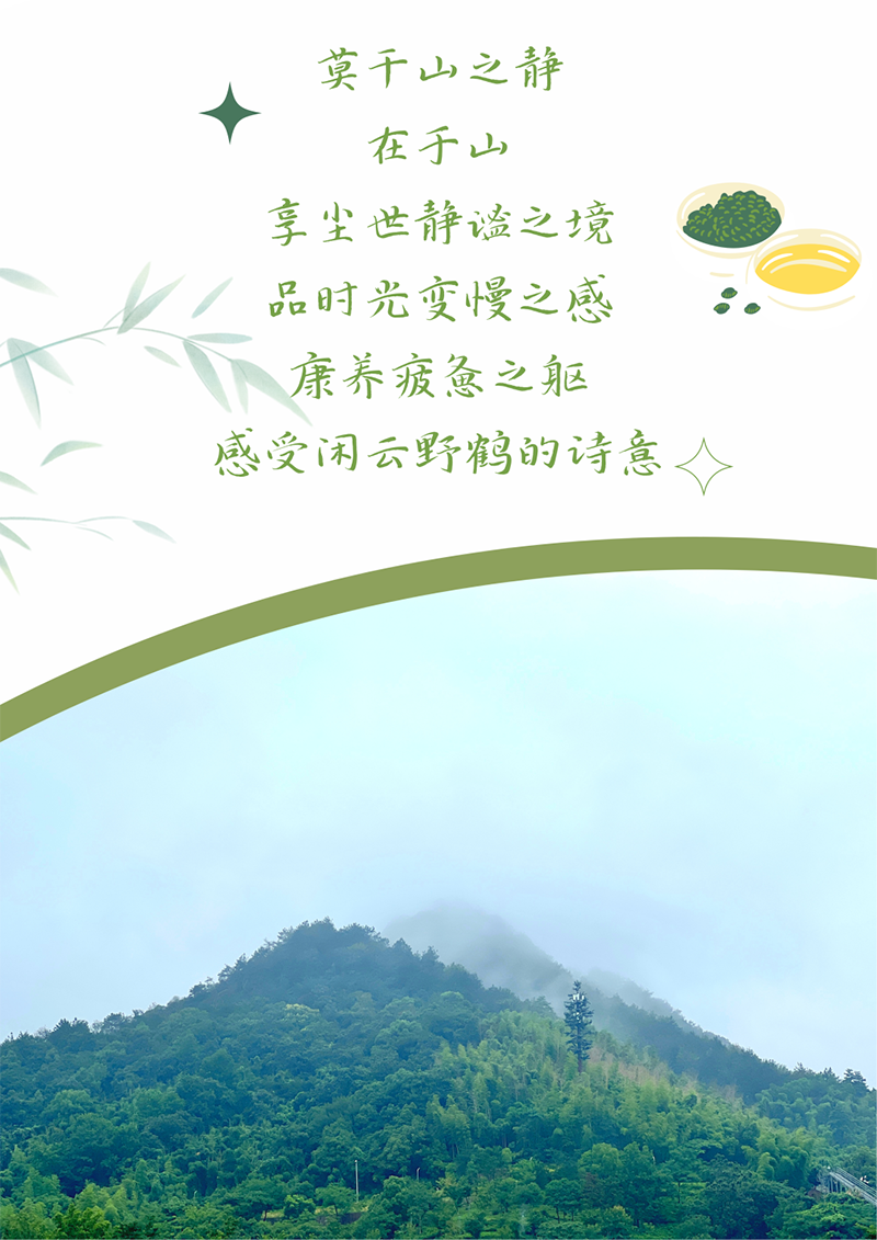 心心念廿 相伴冰球突破豪华版下载app | 与德清相约 贺廿载诞辰